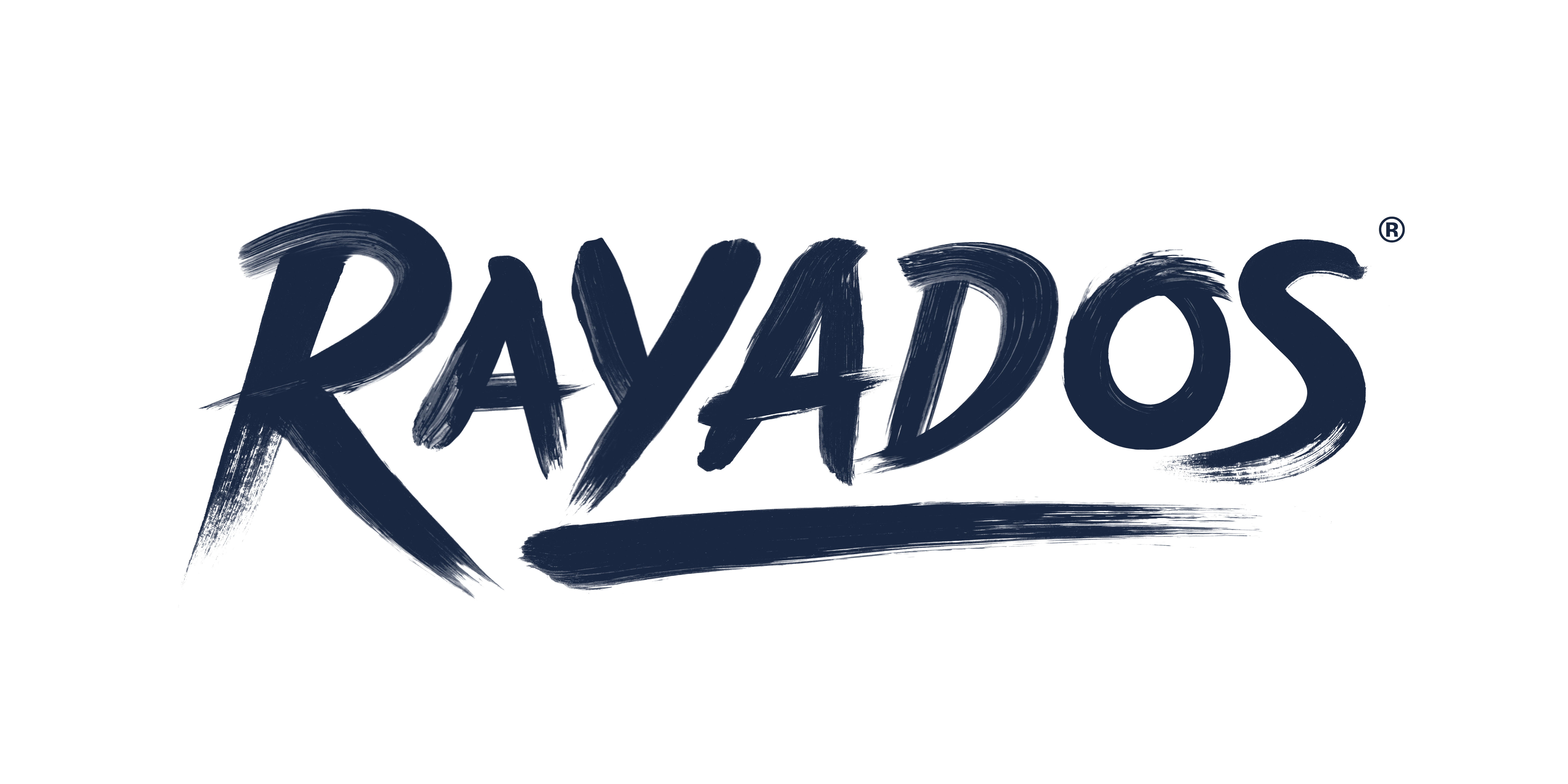 CF Monterrey Rayados comes and partners with Copa Chicago! 
