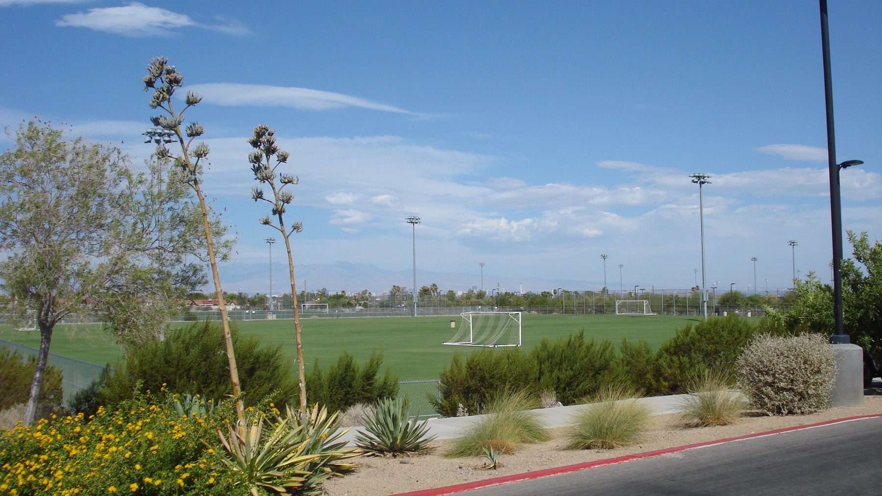 Copa Rayados tournament information
